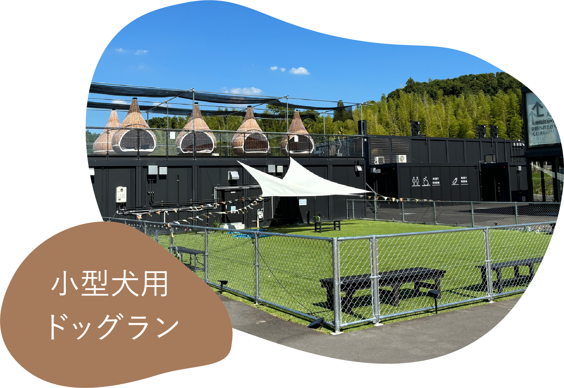 小型犬ドッグラン