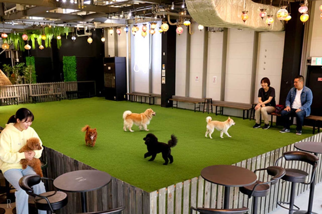 ペットと一緒にステイ